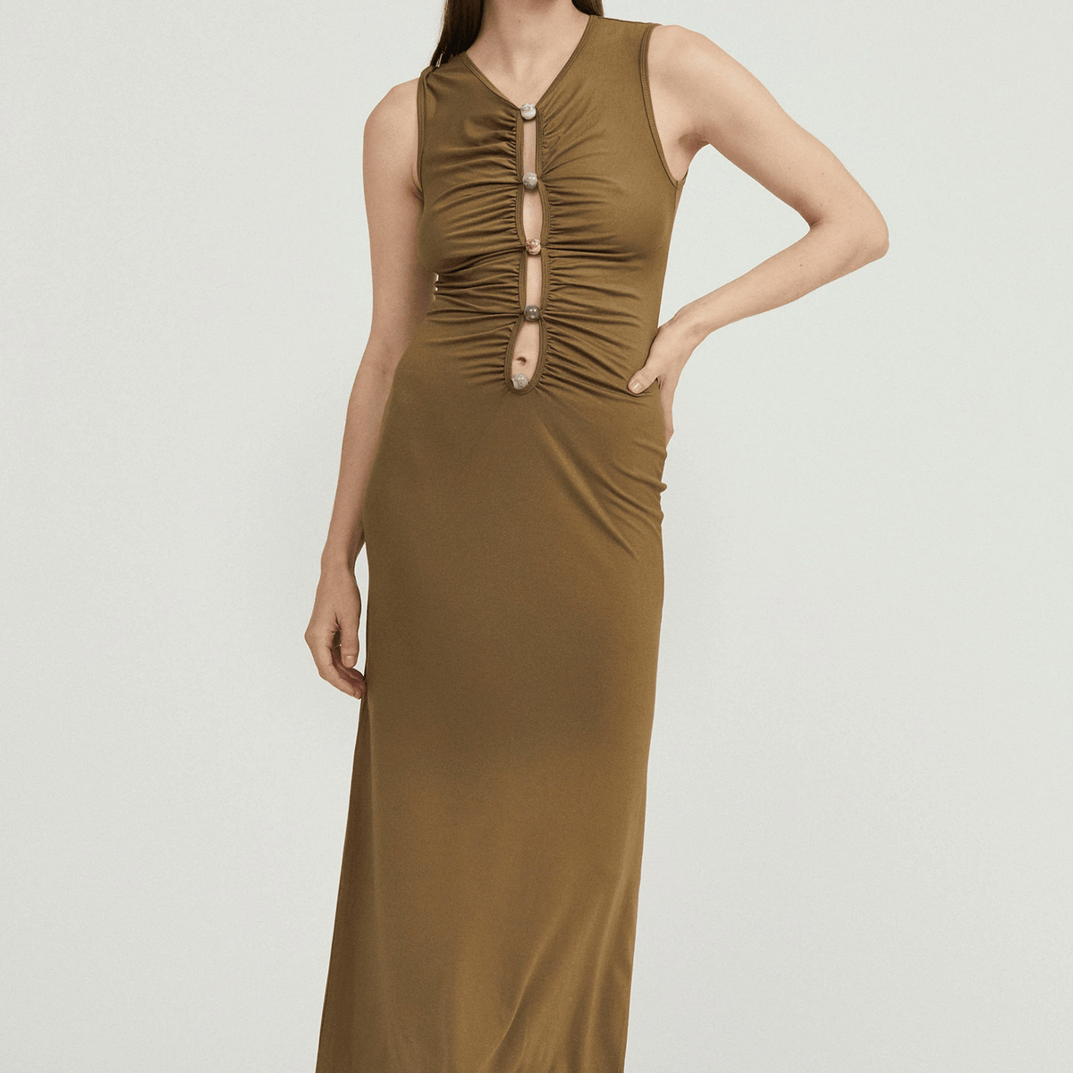 dinosaur maxi dress Dinosaur Maxi Dress