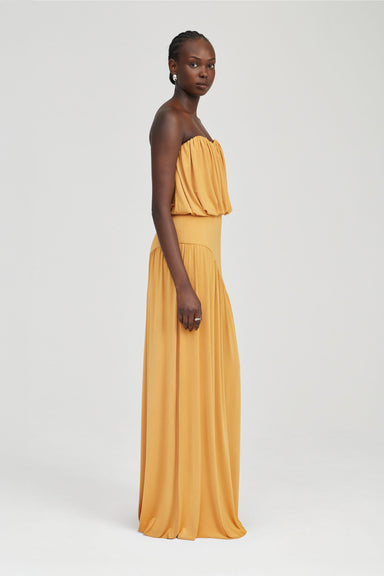 THIRD FORM WITHHELD STRAPLESS FLOOR LENGTH DRESS | NECTAR
